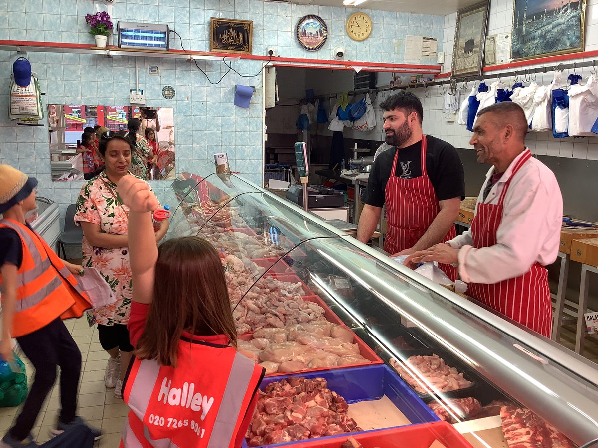 Halley Year 2 tweet media