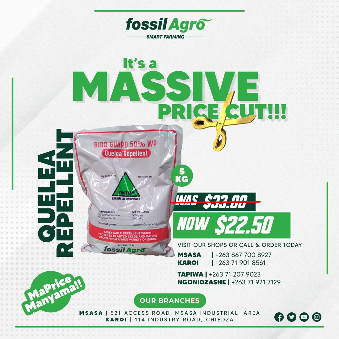Get the Best Protection for your Wheat with our Bird Guard Quelea Repellent. Secure your Crop &amp; Guarantee yourself a Bumper Harvest with Fossil Agro!

Contact Us &amp; Make your Order Today!

#FossilAgro #SmartFarming #HakunaMatata #WheatProtection #QueleaRepellent