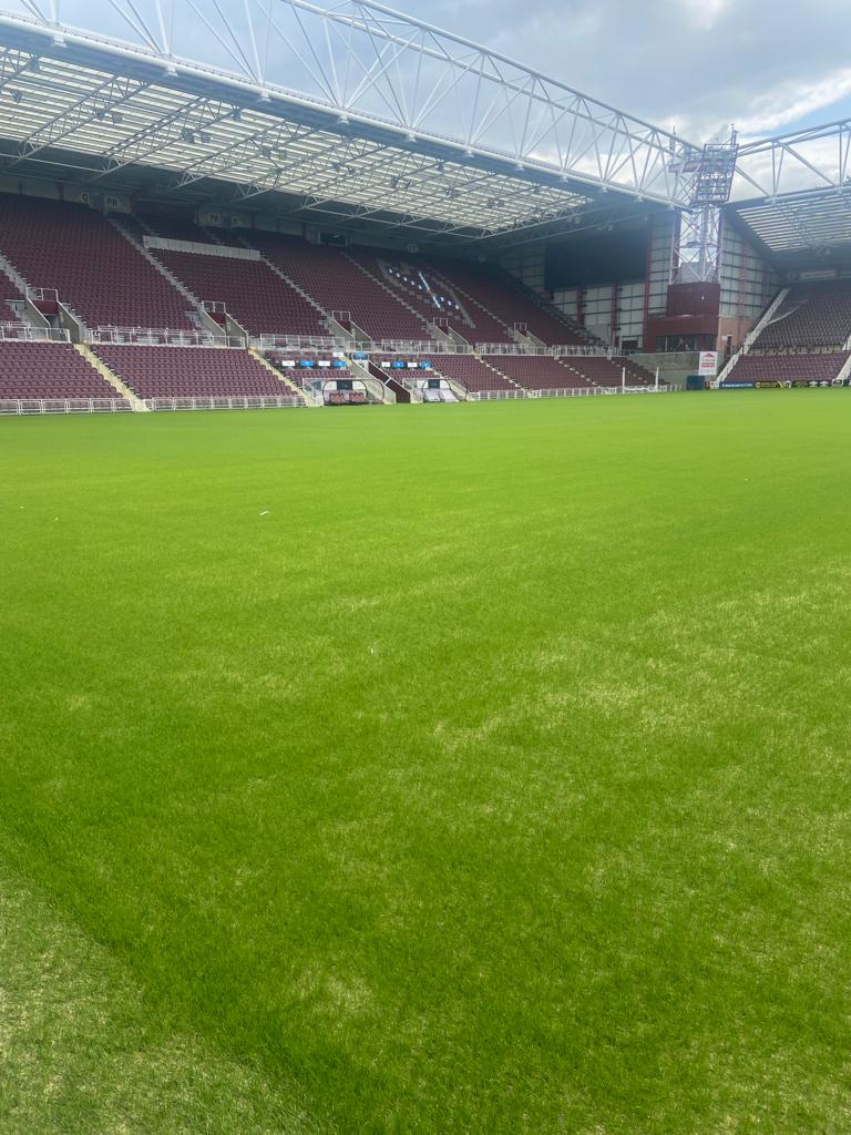 11 days after seeding. Coming in nicely after renovations.