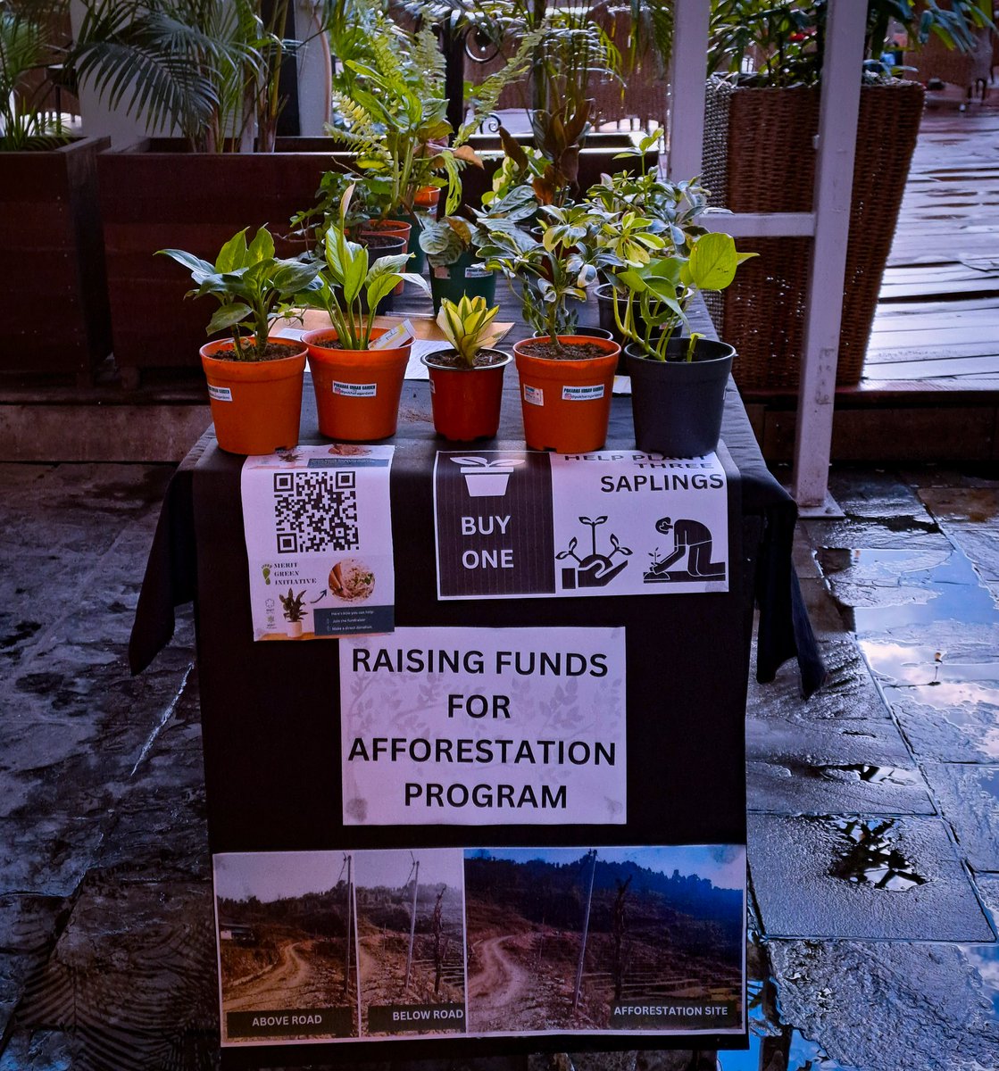 Happening Now! 

Buy 1 and help re-root 3 saplings in the landslide prone zones. 
#Act4Impact #MeritImpact #MeritGreenInitiative