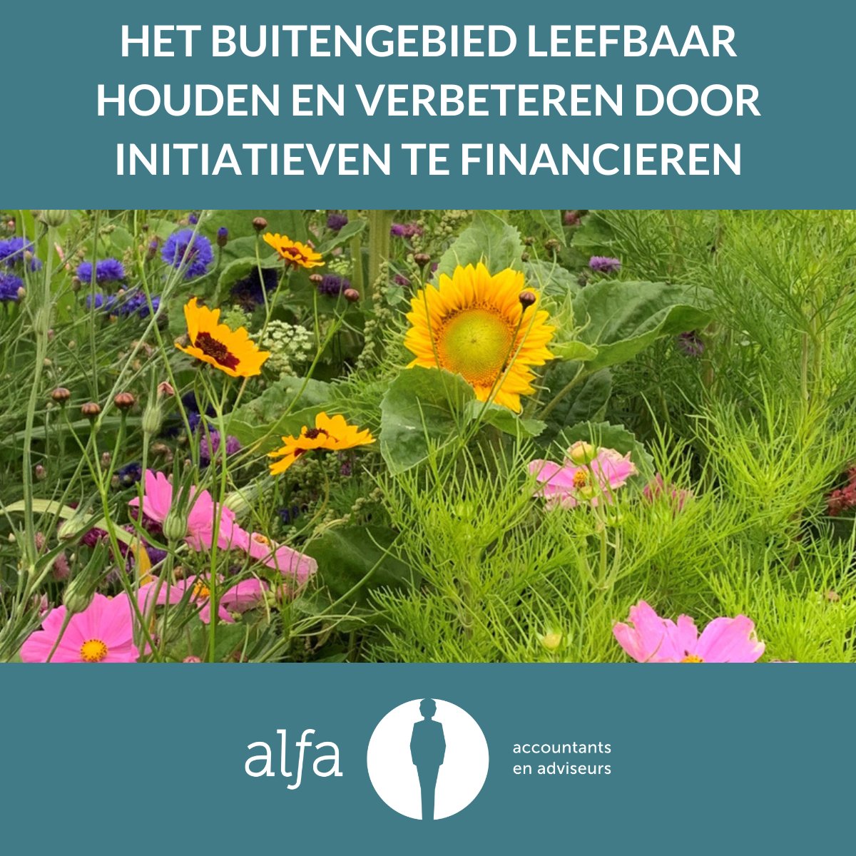 Het Jan Wolleswinkel Fonds financiert initiatieven om het buitengebied🌻leefbaar te houden en te verbreden.  alfa.nl/barneveld/actu…

#Ondernemen #FoodValley #innovatie #AlfaAccountants