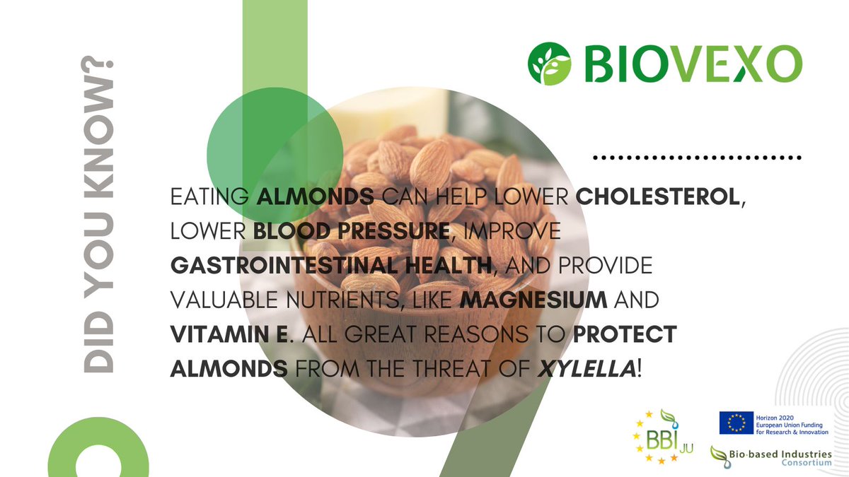 #DidYouKnow how #healthy #almonds are? @BiovexoProject isn't just developing #innovative #biopesticides to protect #olives from #xylella, they protect almonds too! Read more: biovexo.eu @CBE_JU @HorizonEU @biconsortium @EPPOnews @AITtomorrow2day @CNRsocial_ 🌱💚🔬
