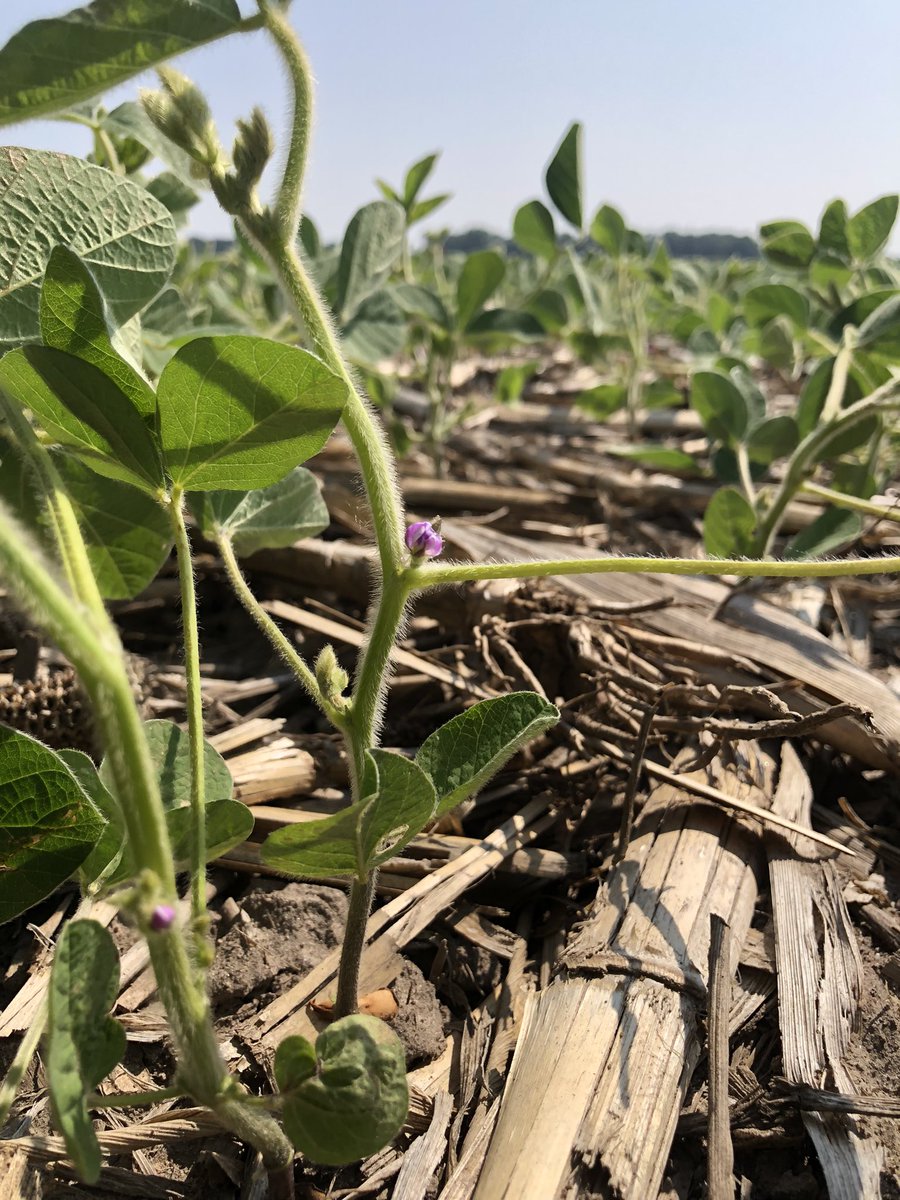 507AGSOLUTIONS tweet media