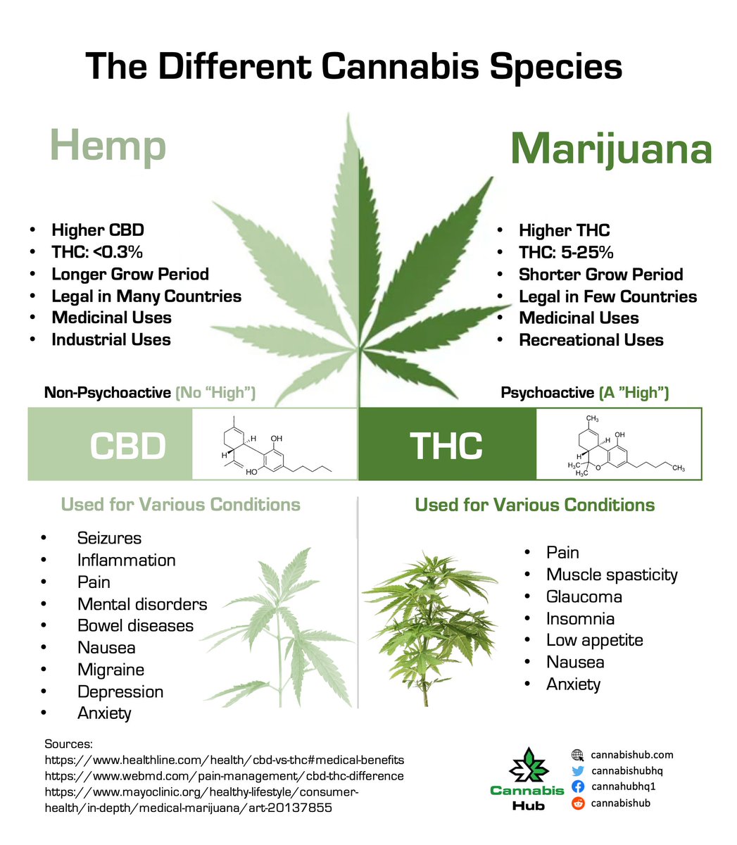 A neat cannabis infographic describing the differences between hemp and marijuana

#maryjane #indica #sativa #weed #marijuana #growyourown