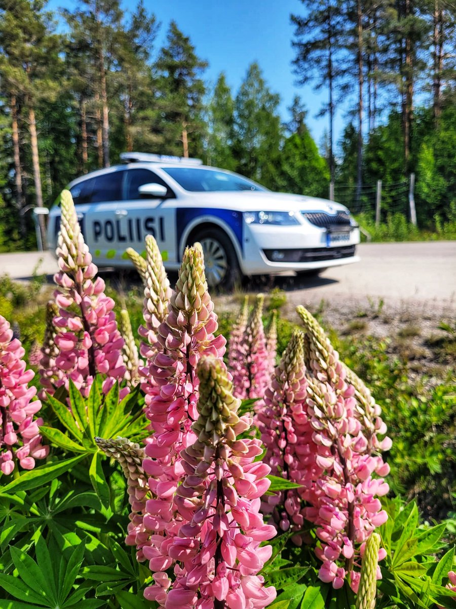 1/4 Juhannus lähestyy 🌿

Sitä odotellessa tunnelmaan on hyvä virittäytyä komisario Kirsin riimeillä:

#lspoliisi #poliisi #juhannus #runo