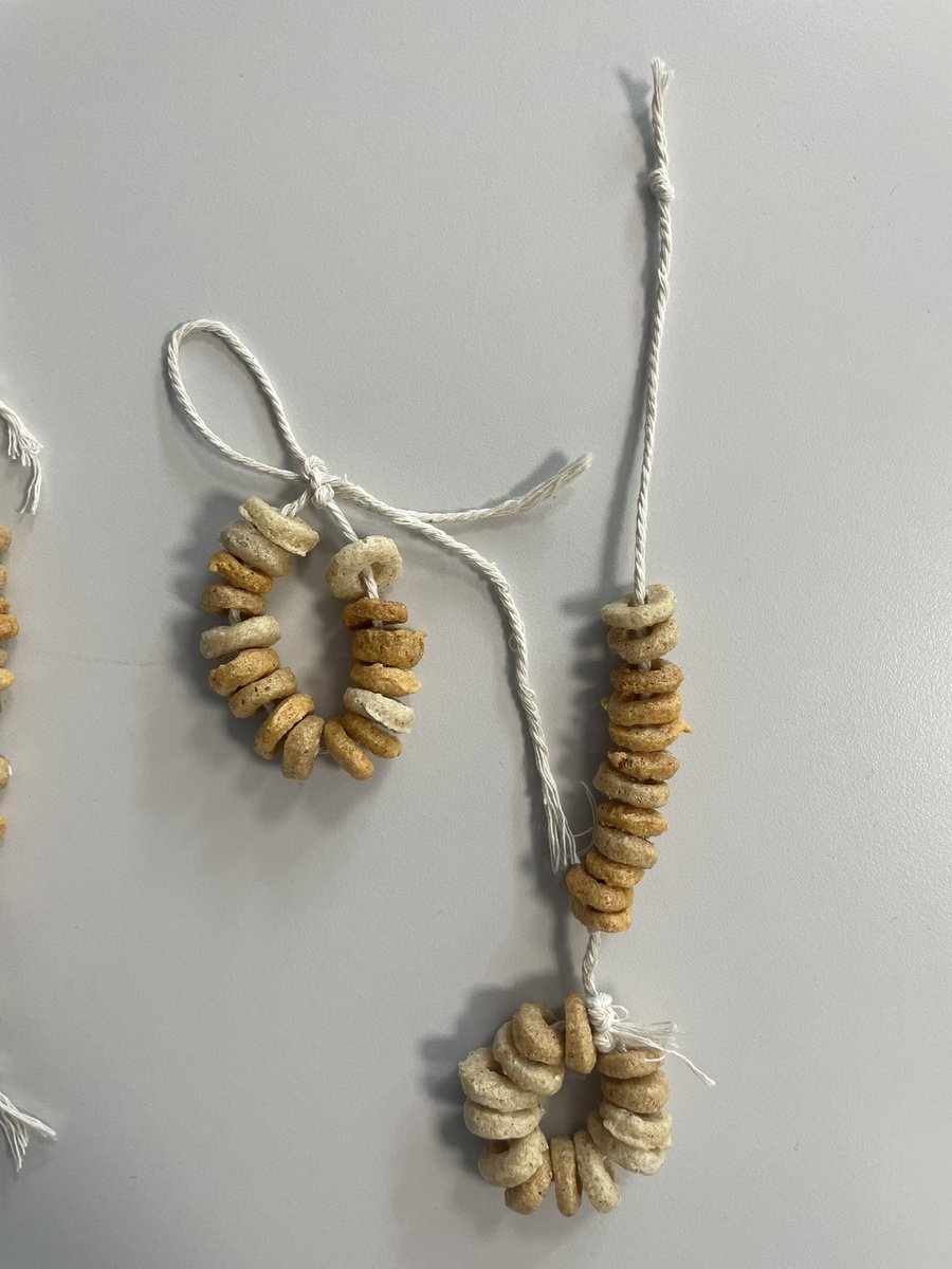 F2B onto the next stage of their JMA! Giving back and conserving our local environment. They challenged themselves to come up with different  designs and different ways to attach their feeders to trees!