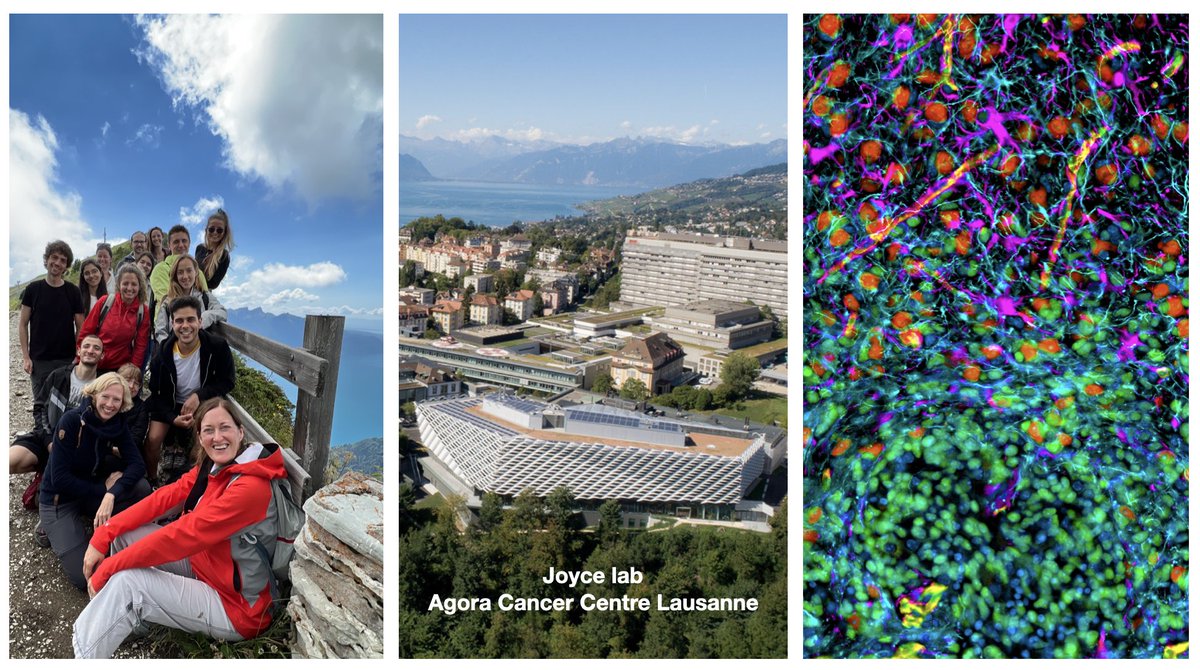 🚨 New #positions - we have several great opportunities! - staff scientist/ project manager - lab manager - postdoc(s) We offer an international & highly collaborative environment in beautiful Lausanne🇨🇭 More info: joycelab.org/positions Funded by @snsf_ch AdG 🙏🏼 Please RT!