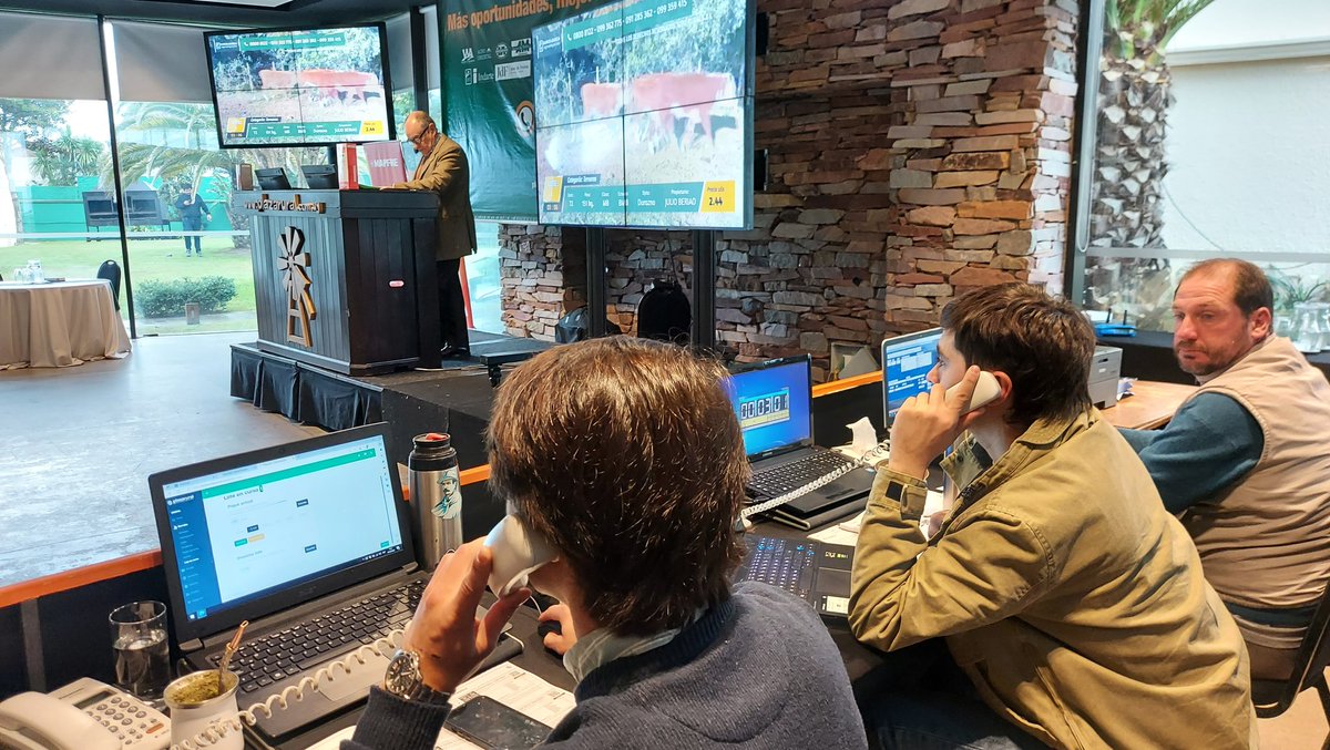 #LoteMapfre A US$ 2,53 se vendió el primer lote de terneros del remate 270. Eran 72, pesando 151 de promedio, Hereford, de clase muy buena, estado bueno muy bueno. Están en Durazno y se entregarán en el establecimiento del comprador gracias a <a href="/mapfre_UY/">MAPFRE Uruguay</a>. Remató <a href="/ramosgarciaagro/">Ramos&Garcia</a>.