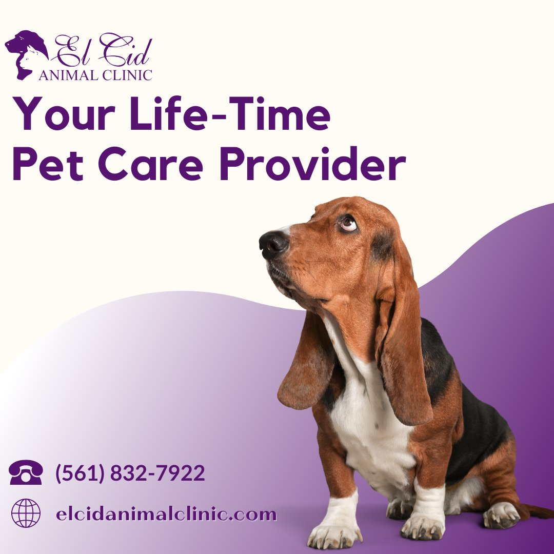 🐕‍🦺At El Cid Animal Clinic we are proud to be your life-time pet care provider. Do you have concerns regarding your pets health? Schedule an appointment today! 

☎️ (561) 832-7922
🌐 elcidanimalclinic.com 

#ElCidAnimalClinic #PetCareProvider #pethealthcare #vet #veterinarian