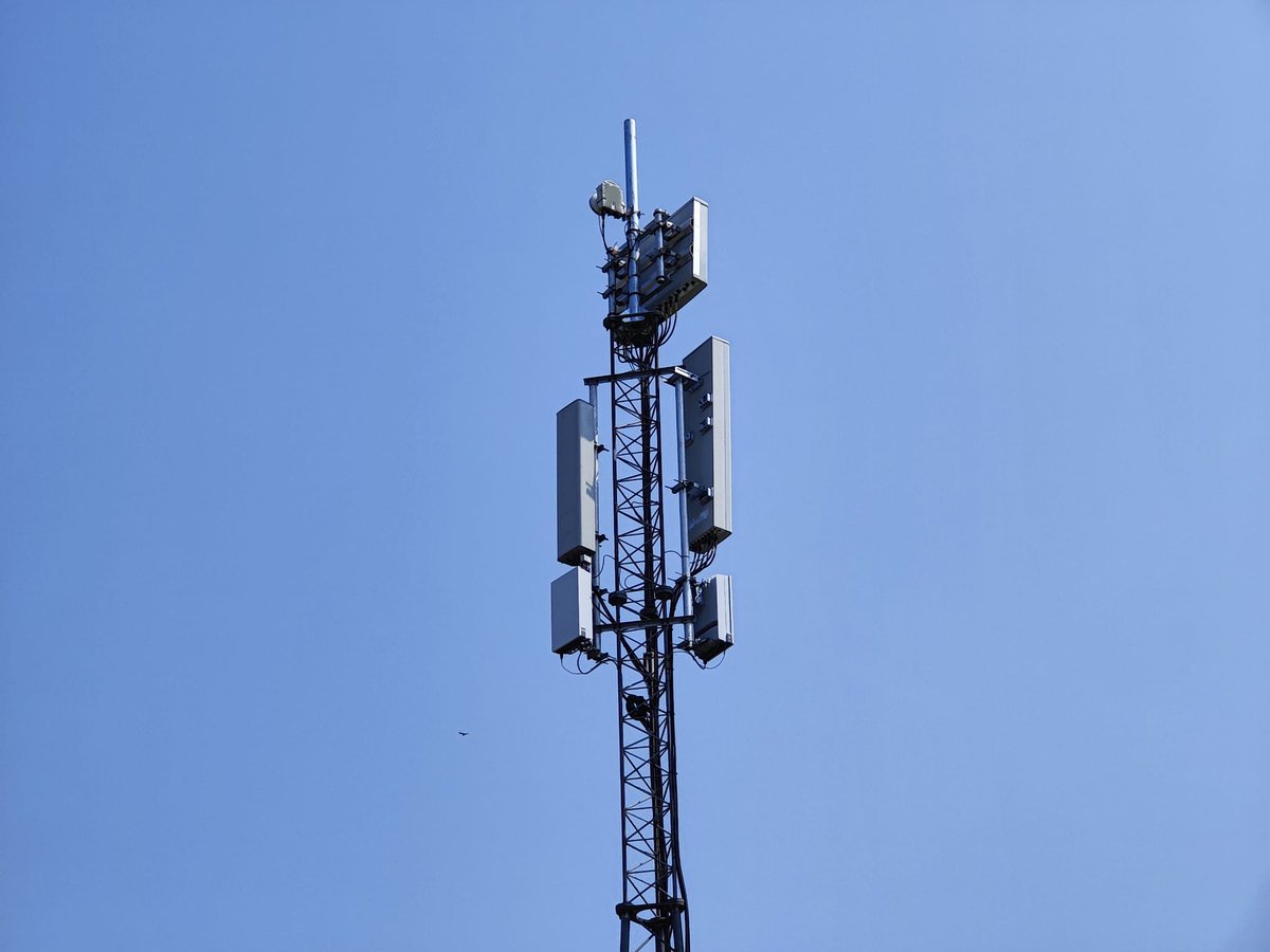 Ben Wood tweet media