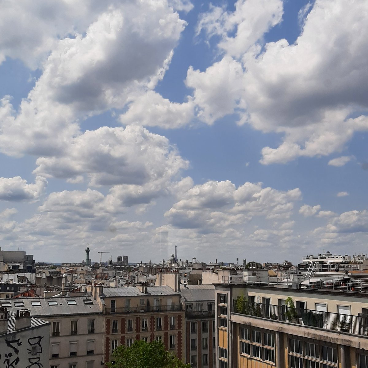 Throwback to WoodCircus White Paper editorial work in 2021. #WoodCircus #wood