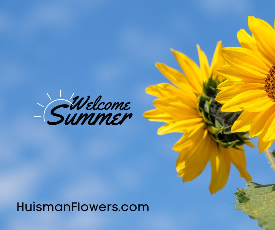 Welcome Summer!! 🌞

🌻Check out our summer floral collection at HuismanFlowers.com.

 #summerflowers #summervibes #summer #flowerarrangements #bouquets #floralart #huismanflowers #michigan #hollandflorist #grandhavenflorist #flowers #flowerdelivery