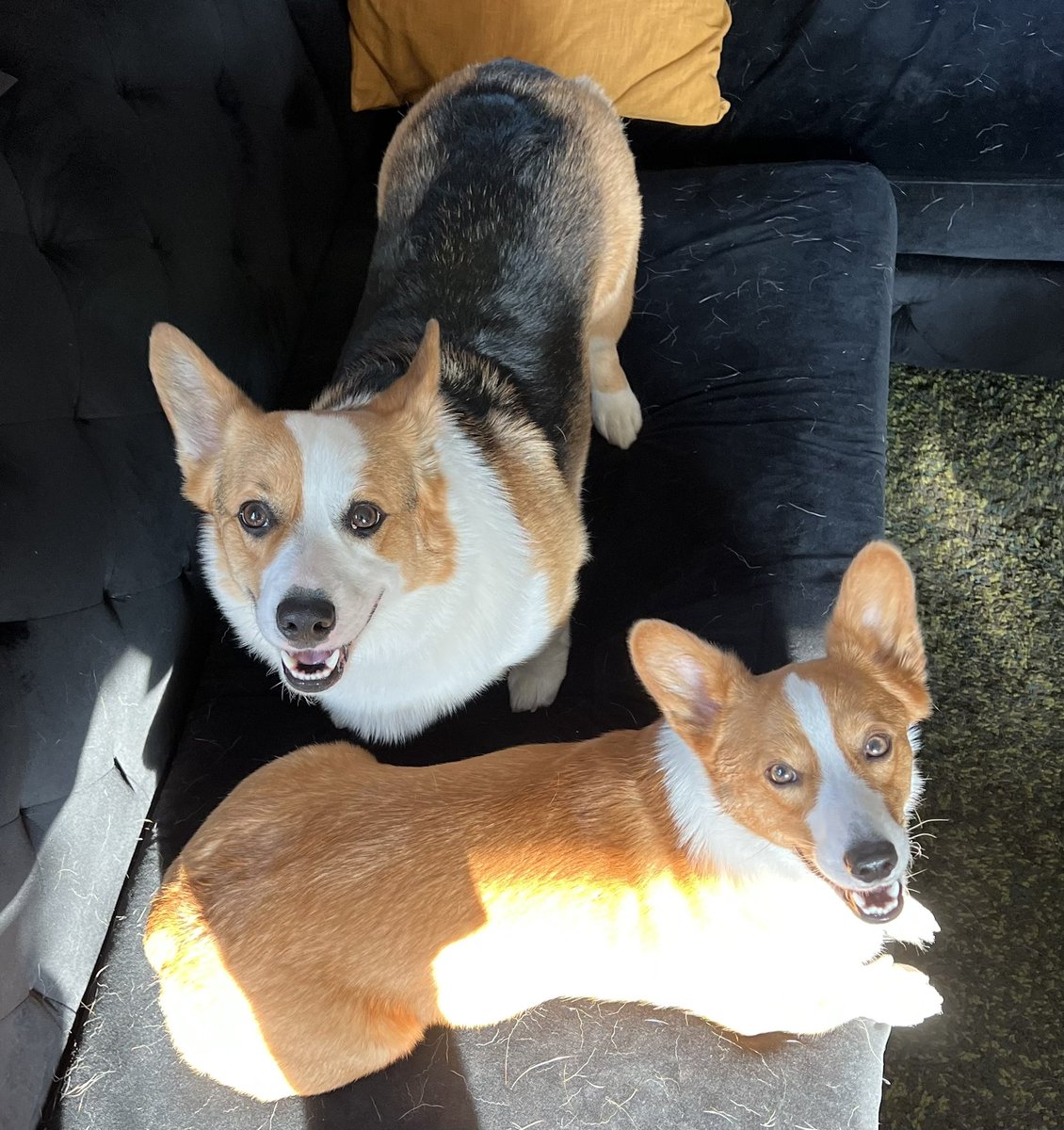 Good morning from me and the crew SAY IT BACK