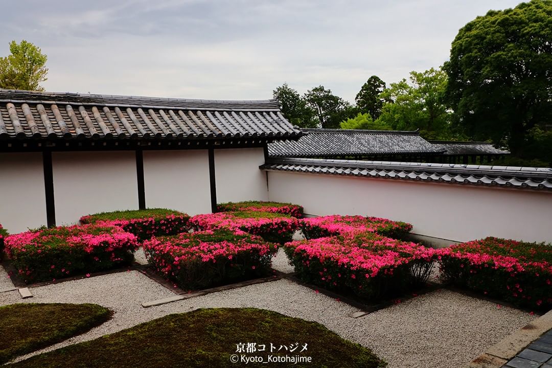NipponVisuals's tweet photo. Tofuku-ji Temple, Japan ⛩️❤️
📸 https://t.co/4xFVCJRHm0 https://t.co/Z3cuhhUtBp