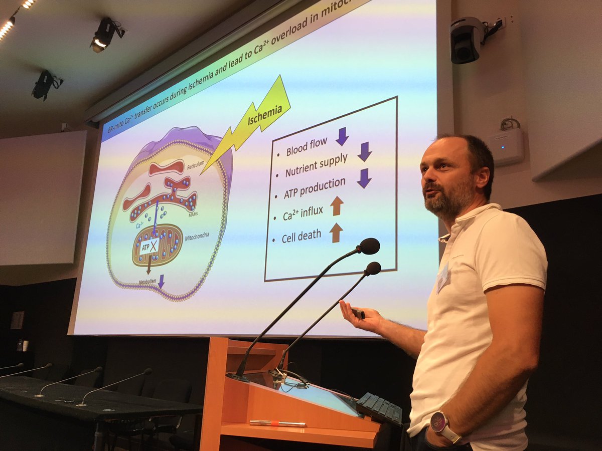 Within biosensor cession <a href="/GabrielBidaux/">gabriel bidaux</a>  is showing nice mitochondrial calcium sensors to detect calcium flux at contact sites between mitochondria and ER in cardio cells during ischemia.
#biosensoids <a href="/GDR_ImaBio/">GDR ImaBio</a> <a href="/GdrAQV/">GDR AQV</a>