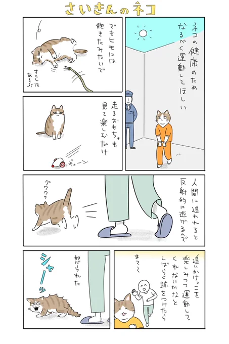 日記です