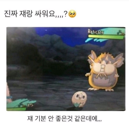 신지 vs 최지훈 최정 에레디아