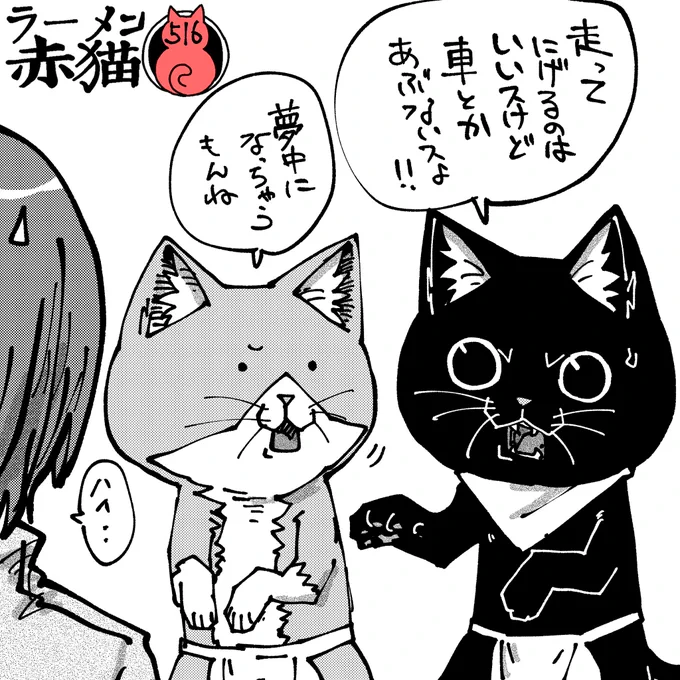 猫目線の危険 #ラーメン赤猫 #ジャンププラス 63話 https://shonenjumpplus.com/red/content/ec1062490