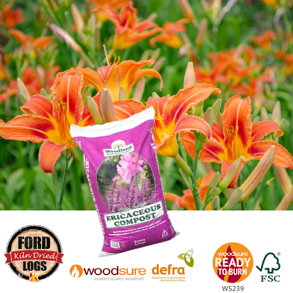 Ericaceous Compost is specially created to get the best out of acid-loving plants such as Azaleas, Camellias, Rhododendrons, Pieris, Heathers and Alpines 🌺

We supply in 60 litre bags or in .75m³ bulk bags £7 per bag

#fordlogs #ericaceouscompost
fordlogs.co.uk/produc.../eric…