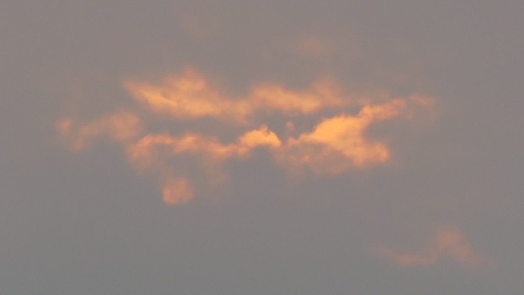 The very last from the other night.  All eyes go to the huge, orange sun, but the clouds are worth their own pic!

#orkney #orkneylife #islandlife #kirkwall #countryside #wildlife #visitorkney #loveorkney #lovekirkwall #lovick #northernlace #knittinglife #dogwalking #amdesig…