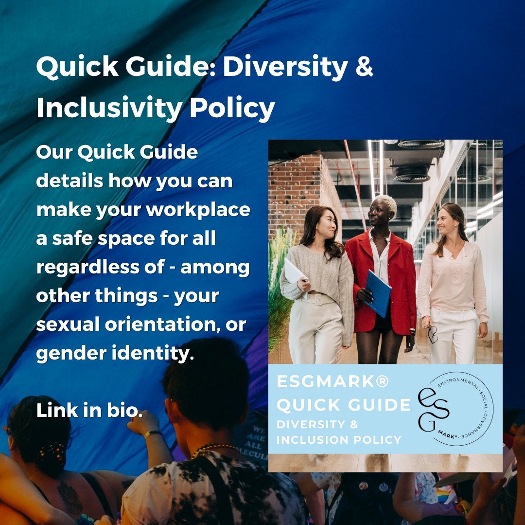 The S in ESG stands for all things inclusivity, that's why it's so important that we continue to expand our knowledge and understanding of the #LGBT community during #PrideMonth and beyond. 🏳️‍🌈 Check out our 3 resources to get you started. #Education #PrideResources #LGBTQIA+