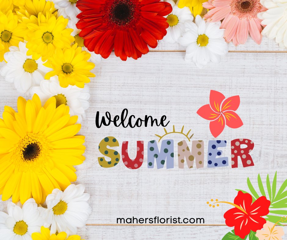 🌞 Welcome Summer !! 🦋
Check out our gorgeous Summer Collection at MahersFlorist.com. 🌻🏵️

#summerflowers #summervibes #summer #flowerarrangements #bouquets #floralart #mahersflorist #pasadenaflorist #flowers #flowerdelivery #familyflorist