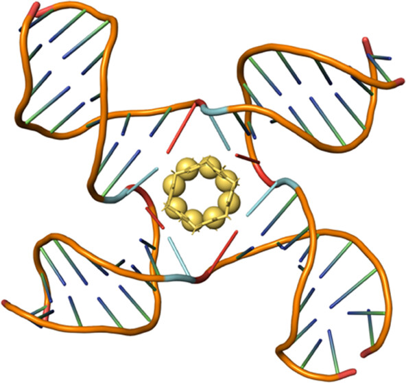 Open 4-way Holliday DNA junctions captured for the first time using a supramolecular Au pillarplex to bind the cavity. #bioinorganic   @hannongroup @apoethig @sigel_lab @MedBioinorgChem pubs.acs.org/doi/10.1021/ja…