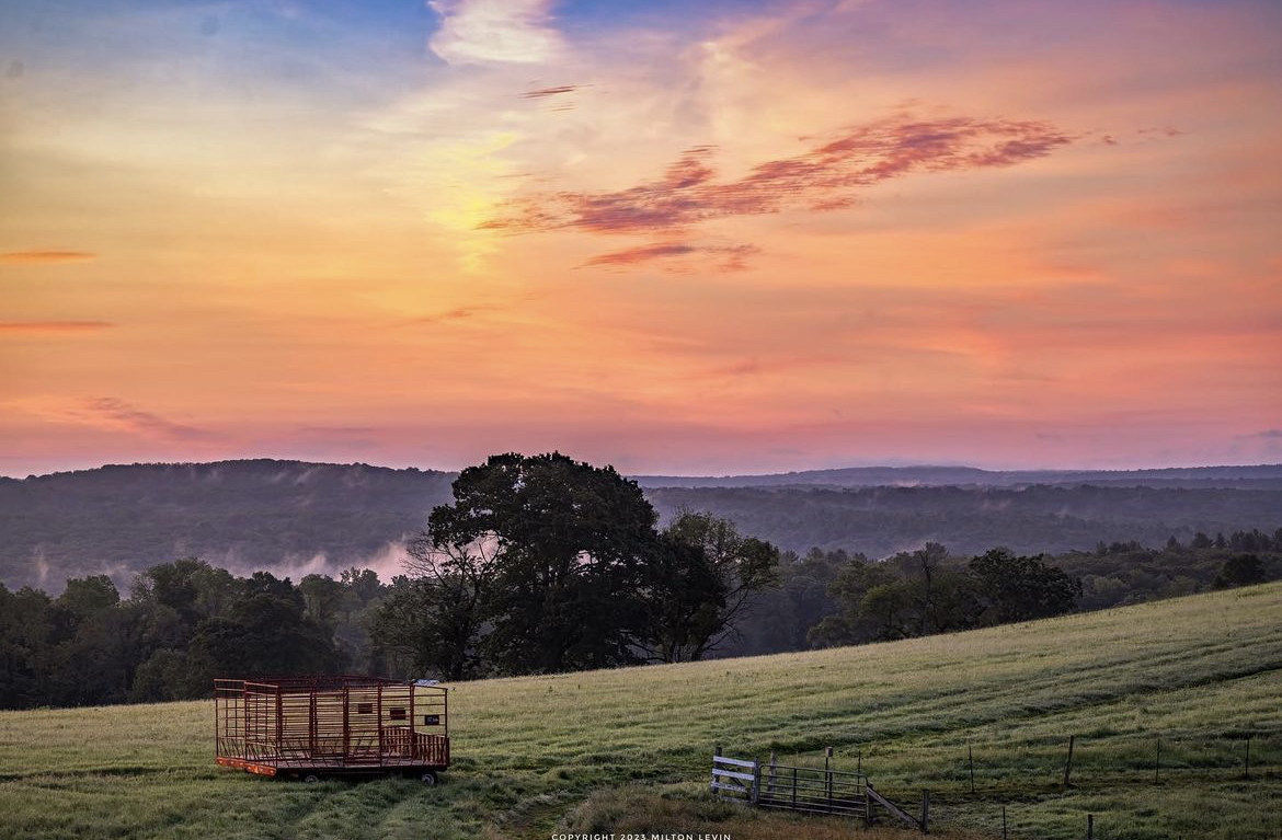 UConnANSC's tweet photo. Sun-kissed bliss on the day the sun shines the brightest 🌄

📸: @miltonlevin

@uconncahnr

#uconnanimalscience #uconncahnr #uconn #lifeonthehill #thisisanimalscience https://t.co/eUClx1J3IL