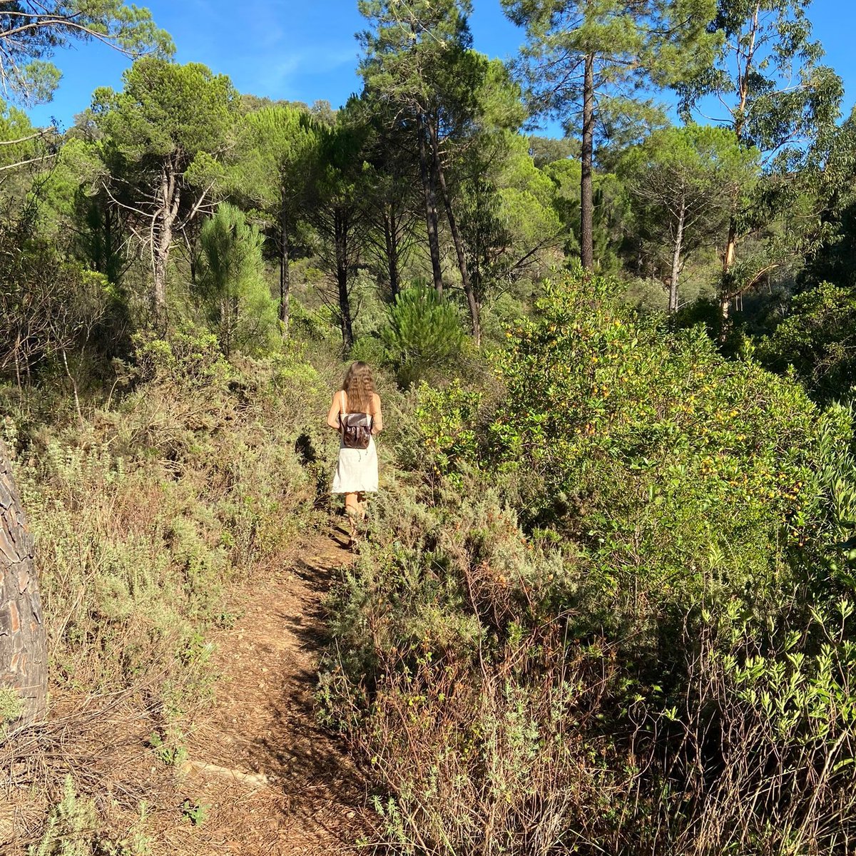 abruxaiberica's tweet photo. Stay close to nature.

Everything revolves around it and the closer you two are, the more connected you will feel to your essence.

You are nature itself. https://t.co/PMqd9zMbfd