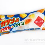 赤城乳業のあの人気アイスから新味登場!絶対食べたい「ガツン、とみかん&パイン杏仁豆腐」。