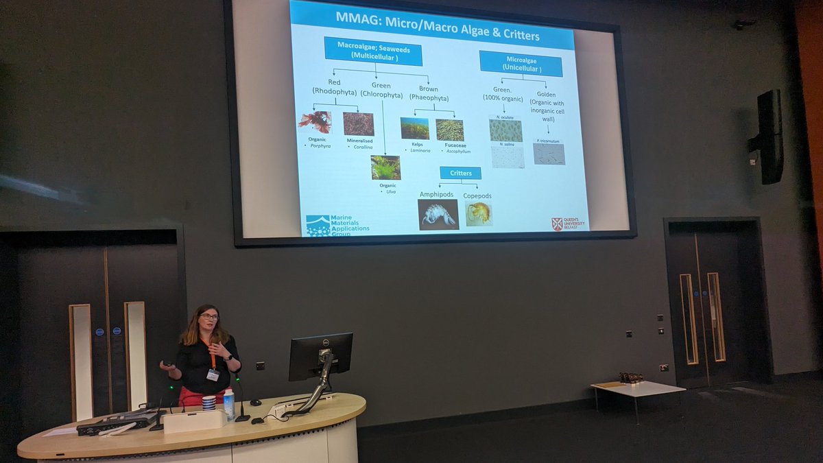 Committee member @pamjwalsh delivering their invited talk at #UKSB2023 titled '3D Printed #Biosilica Scaffolds for #BoneRepair'