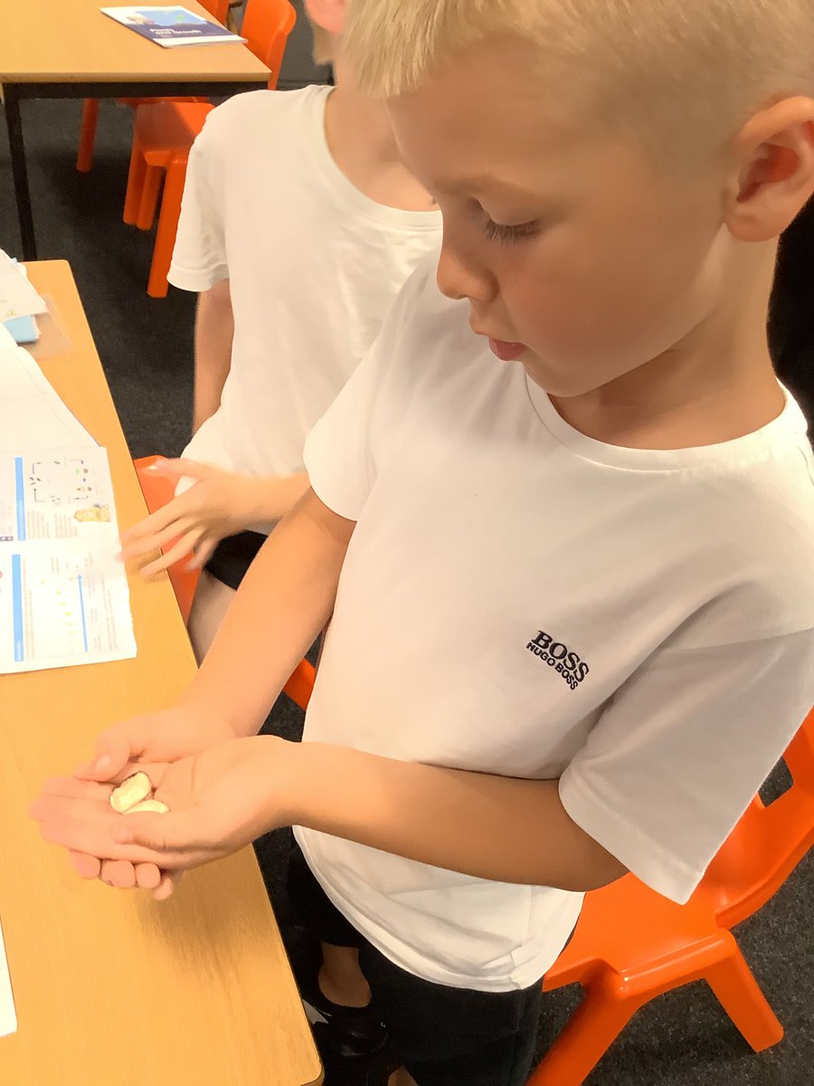 Class York tweet media