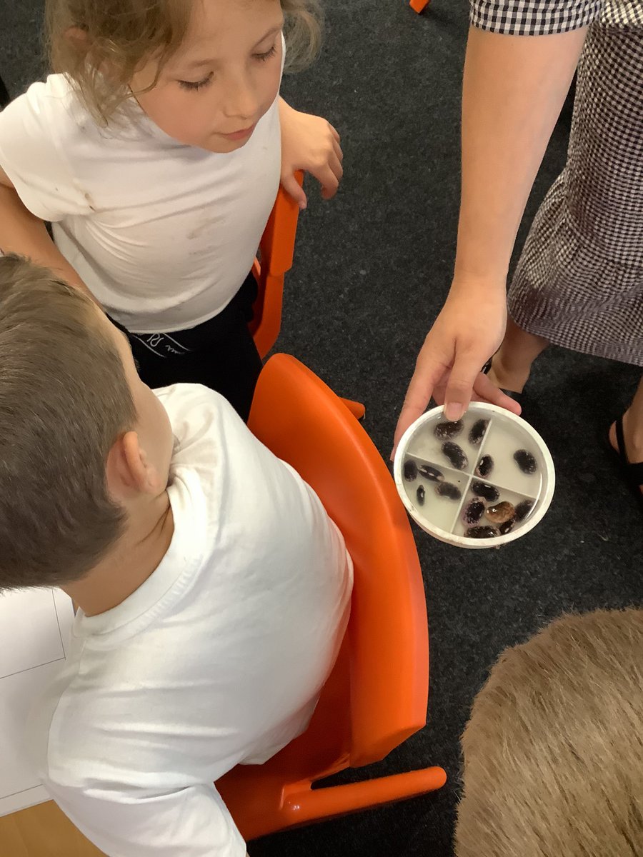 Class York tweet media