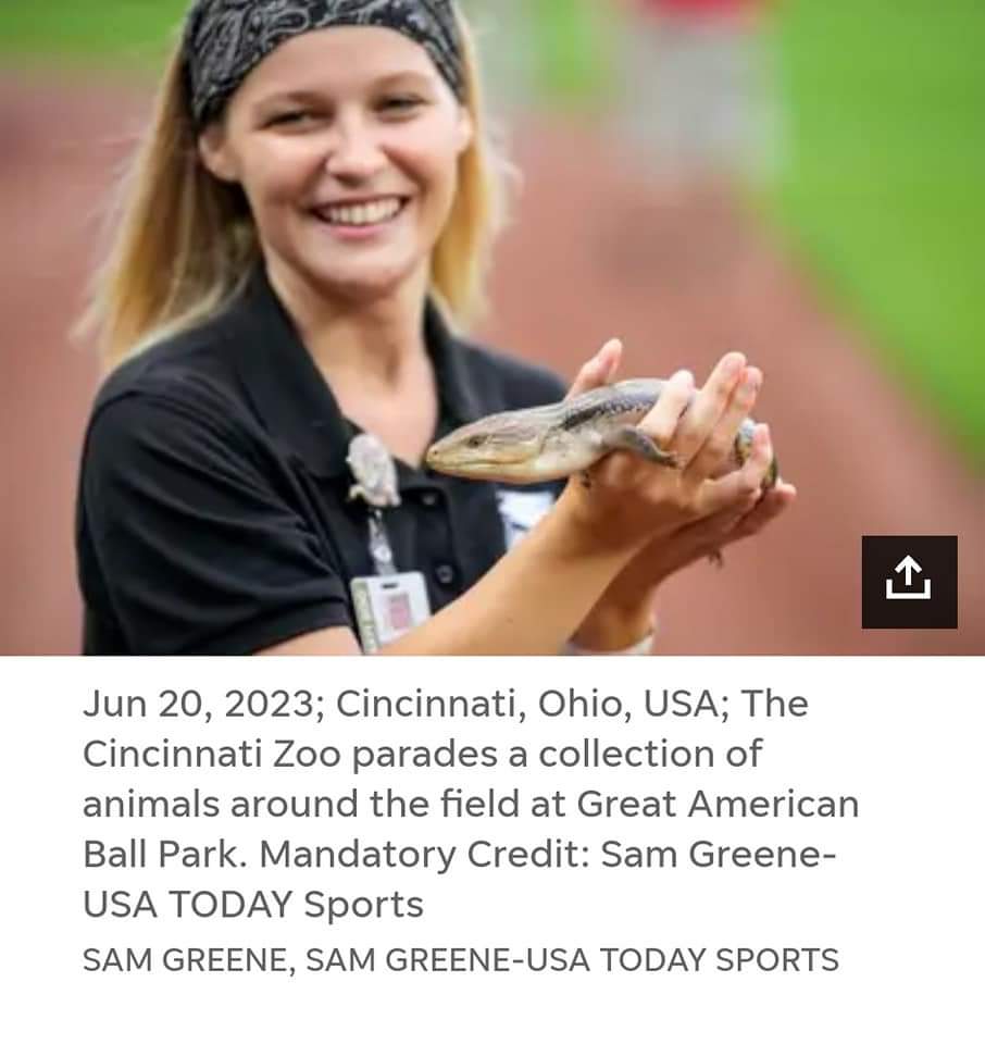 Jessica, our assistant swim coach and 2016 Scott alumni, participated in the Cincinnati Zoo's Parade of Animals at the Reds game last night!!  💙  We always knew she was newsworthy and bound to be famous!  USA Today Sports thought so too!
