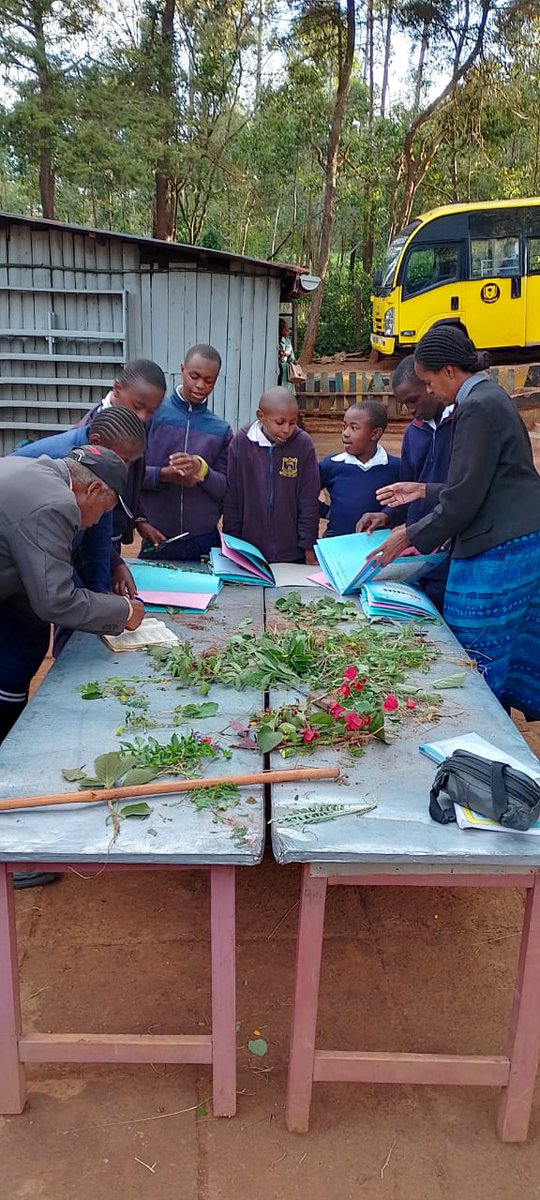 acopphe's tweet photo. Environmental club students of #PleasantHopeAcademy learning how to make a herbarium of indigenous plants in Central Part of Kenya while learning more about the plants. @MenziNgcamane
@Environment_Ke #biodiversity
#indigenousknowledge
#childrenandyouth
#educationandenvironment https://t.co/let0cPxl4R