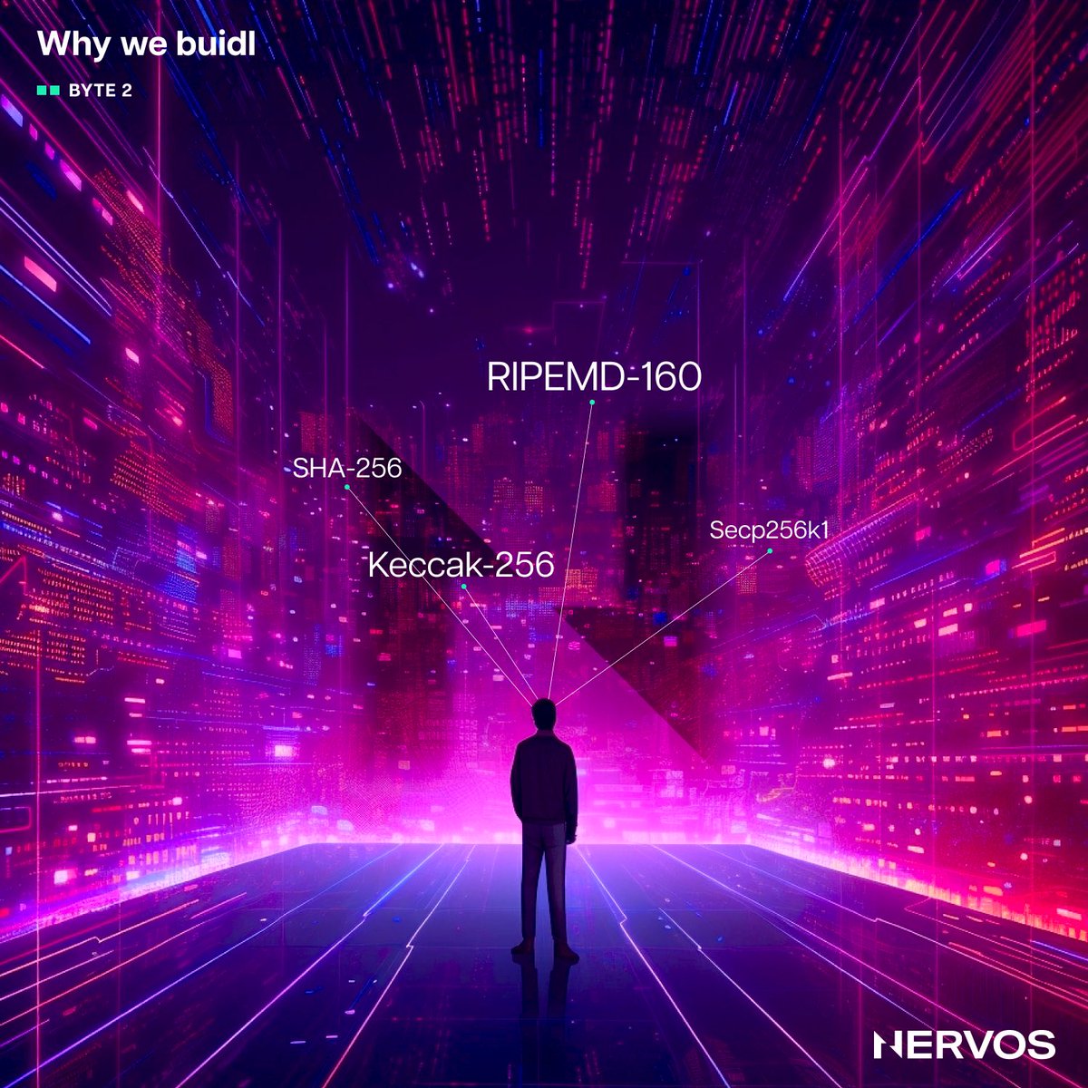 Crypto primitives like SHA-256, RIPEMD-160, Secp256k1, and Keccak-256 are at the heart of every #blockchain.

Yet, 99% of chains stick with a select few, and make replacing these require a hard fork 🚩

#Nervos is the only blockchain where this isn't the case 👇