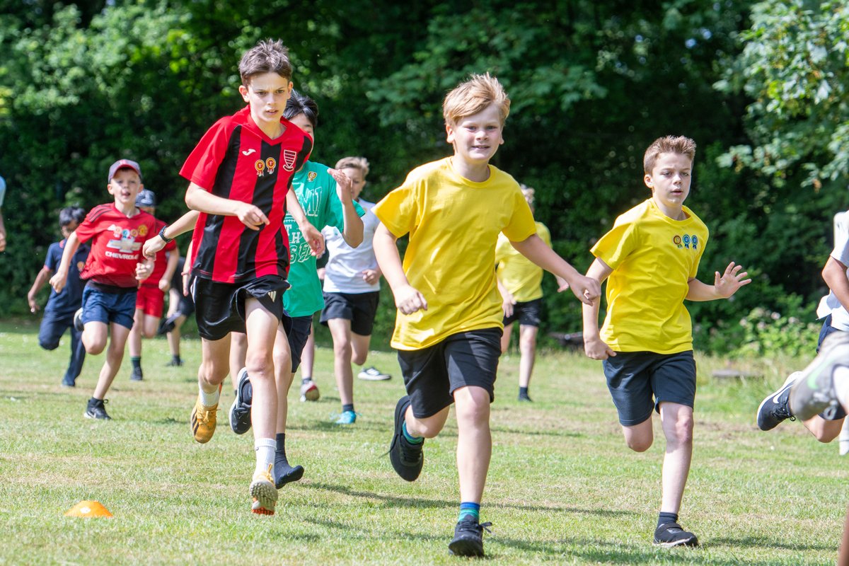 Michael Ripley tweet media