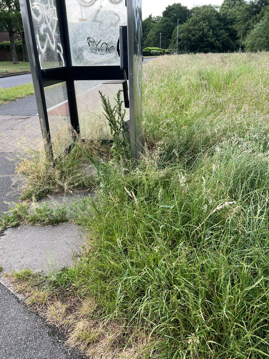 brad harrison tweet media