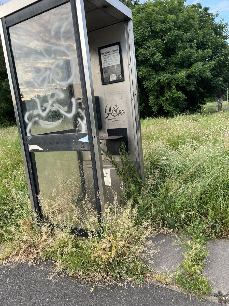 brad harrison tweet media