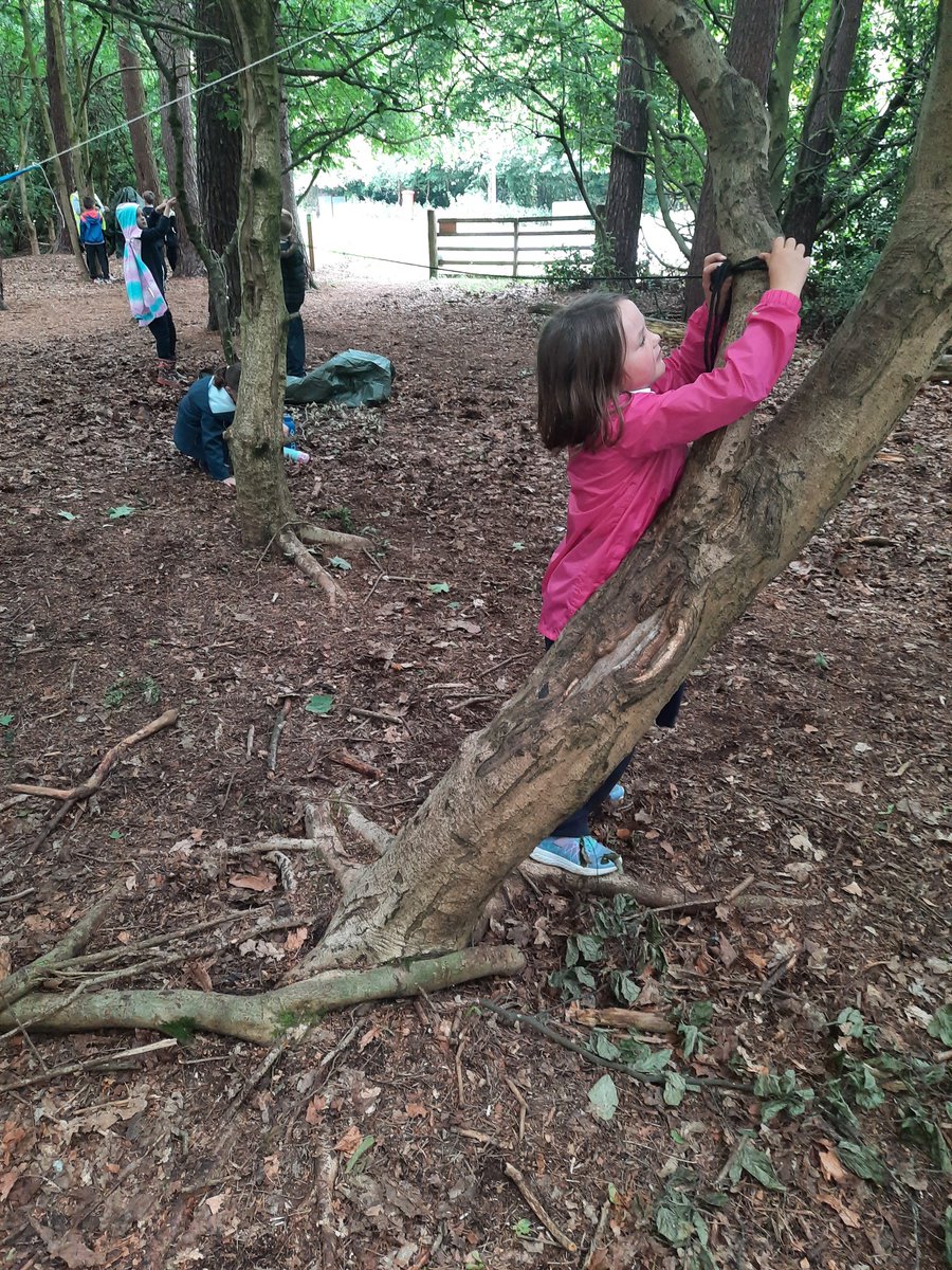 carmondean_ps's tweet photo. P3 building Dens with the real threat of imminent rain yesterday for our #TeamTuesday! Our creativity never fails to amaze! 🏕⛺️🍃🌳
@MissSmithCPS @MissRaffertyCPS https://t.co/eMqCc0nAtb