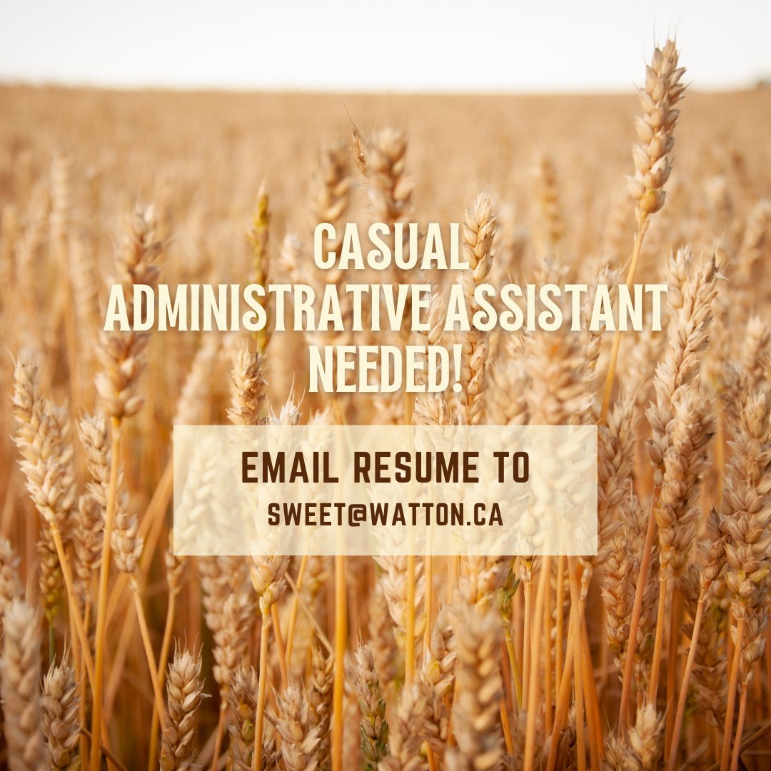 A farm in #PortHope is #hiring a casual Administrative Assistant
-Problem-solving, accountability 
-Planning & organizing
-Attend to telephone calls & emails
-Filing electronic documents
-Other duties, relevant to the position
- Use of Microsoft suite
email: sweet@watton.ca