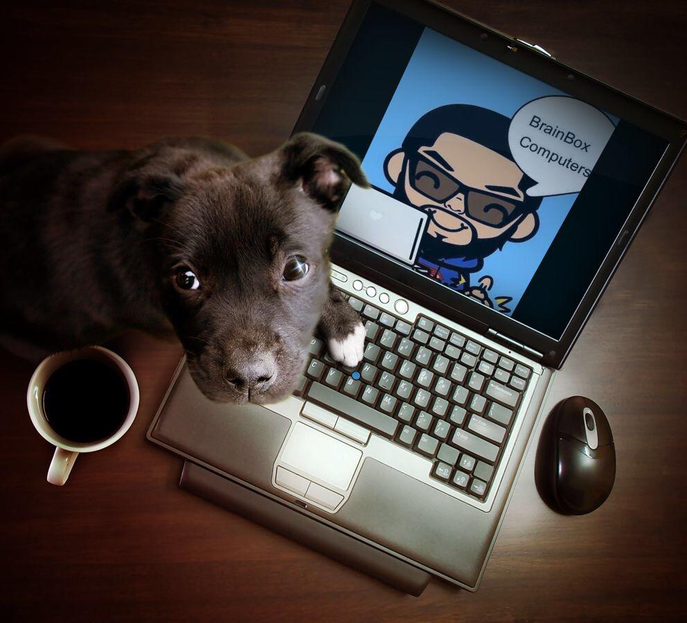BrainBoxComputers UK 🇬🇧#SBS 💻🧙‍♂️ tweet media