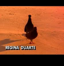 NP__Oficial's tweet photo. 📺TV:
Regina Duarte fica chateada com a Globo após ser cortada da divulgação de 'Por Amor.' Novela foi relançada na Globoplay, porém a emissora substituiu a atriz por um casal de pombos na abertura https://t.co/oyQYl4X6P2