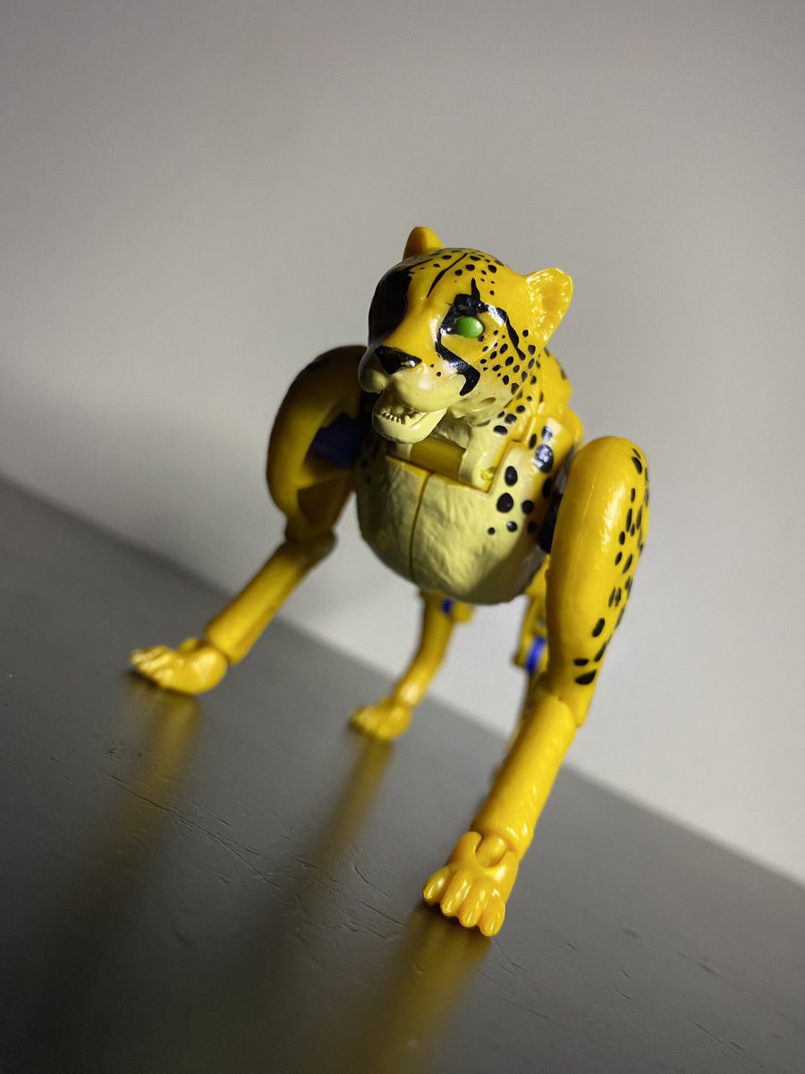 “Time for this cat to pounce!” 

Netflix Kingdom Cheetor