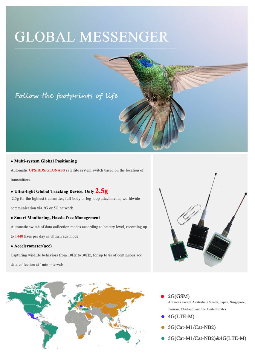 Global Messenger tweet media