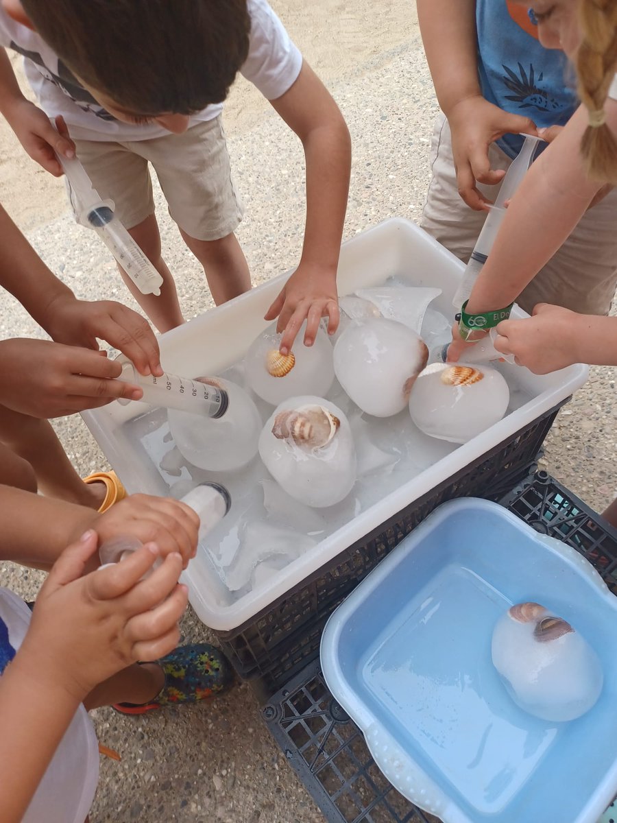 Pont de la cadena tweet media
