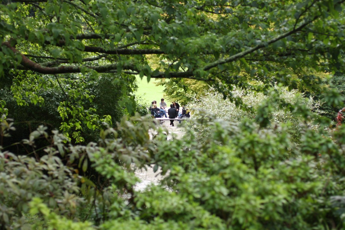 Pearson Lloyd tweet media