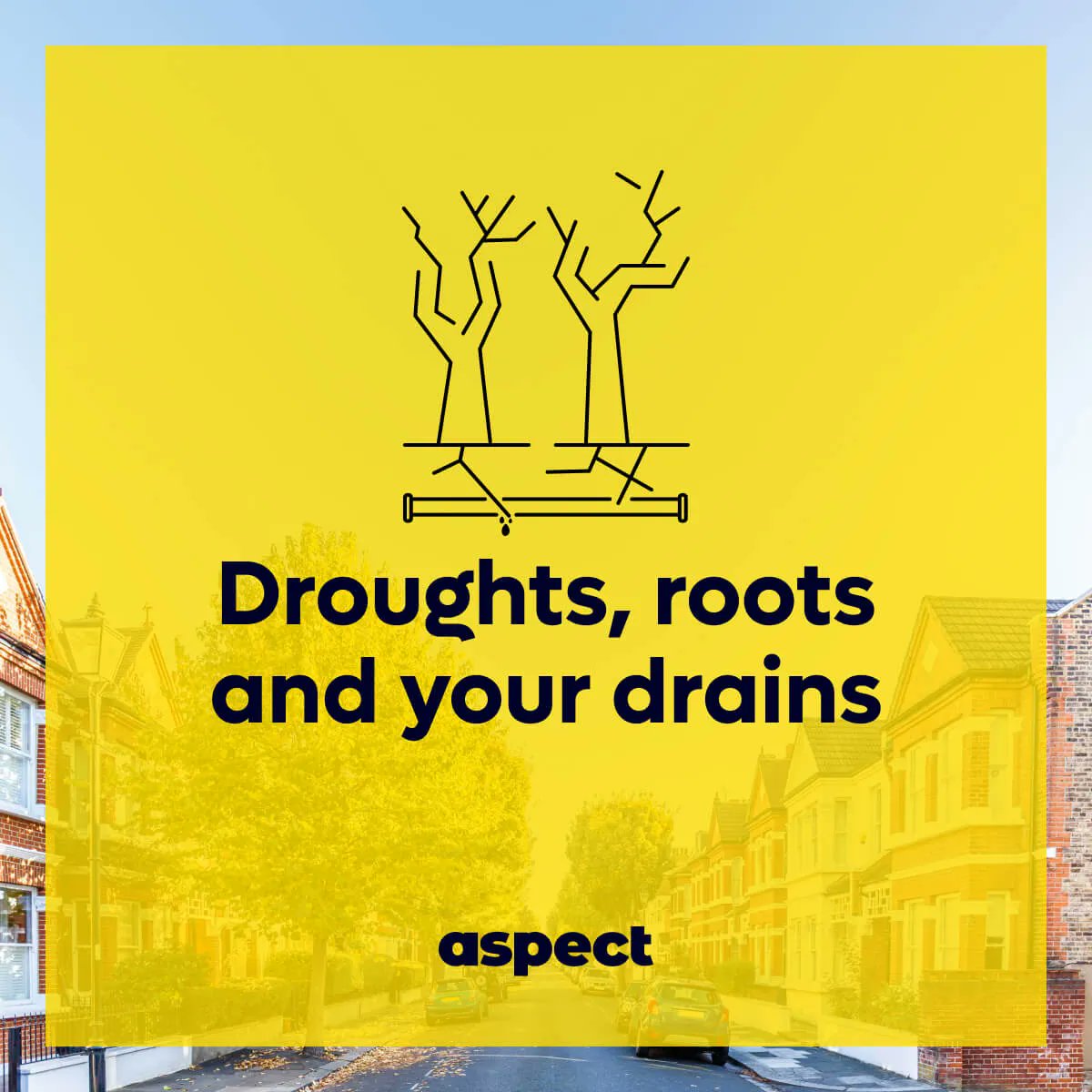 Drought conditions can increase the chance of tree roots damaging your drainage system! Learn more about this issue in our dedicated blog - buff.ly/3NlHYG2.
