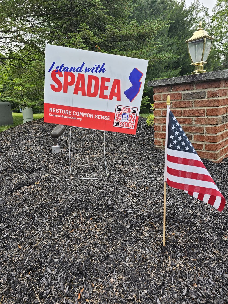 thomashudanish's tweet image. I spy with my little eye, two Bill Spadea signs. #diggingin