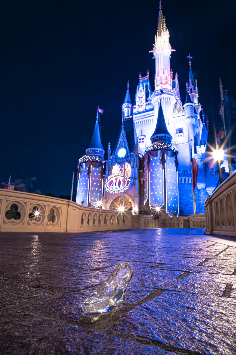 東京ディズニーランドとガラスの靴。